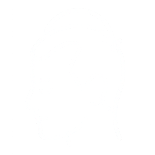 How do exosomes work for hair loss?